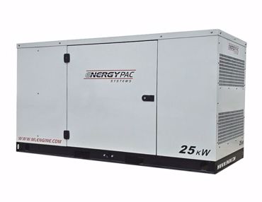 Picture for category NG/LP Generators
